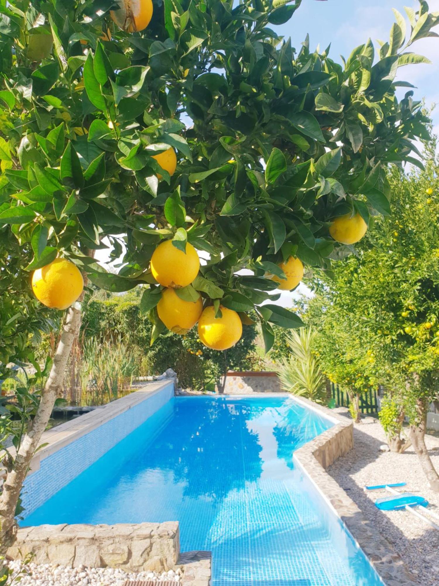 The Far End Surf House - Surf & Yoga Holidays Лориньян Экстерьер фото
